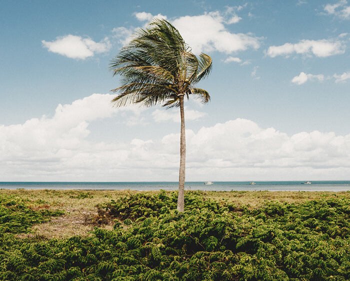 PROTECTING SARASOTA'S WATERWAYS