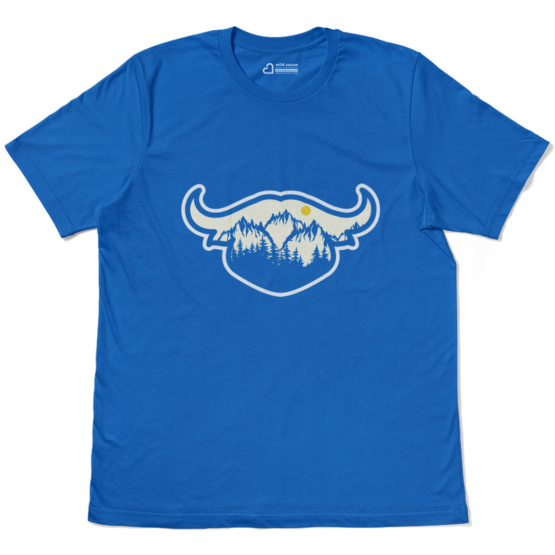 #color_columbia-blue