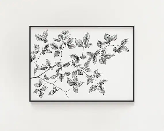 Leaf Illustration Wall Print - Wild Cause