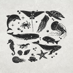 #design
