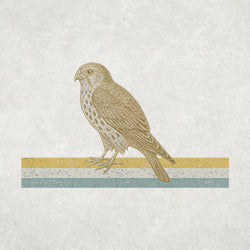 #design