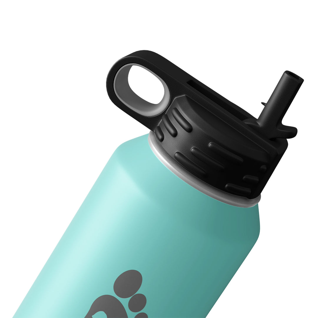 #color_teal