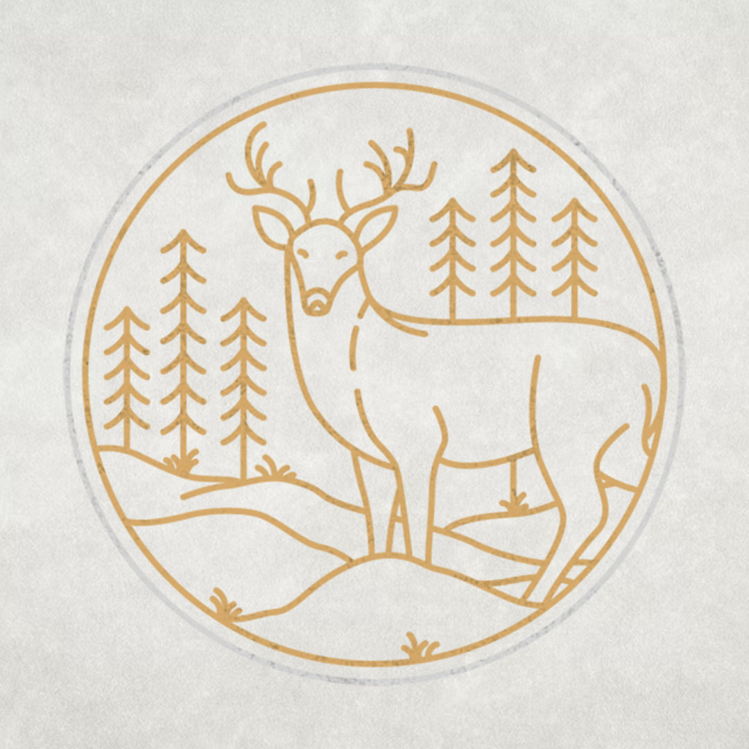 #design