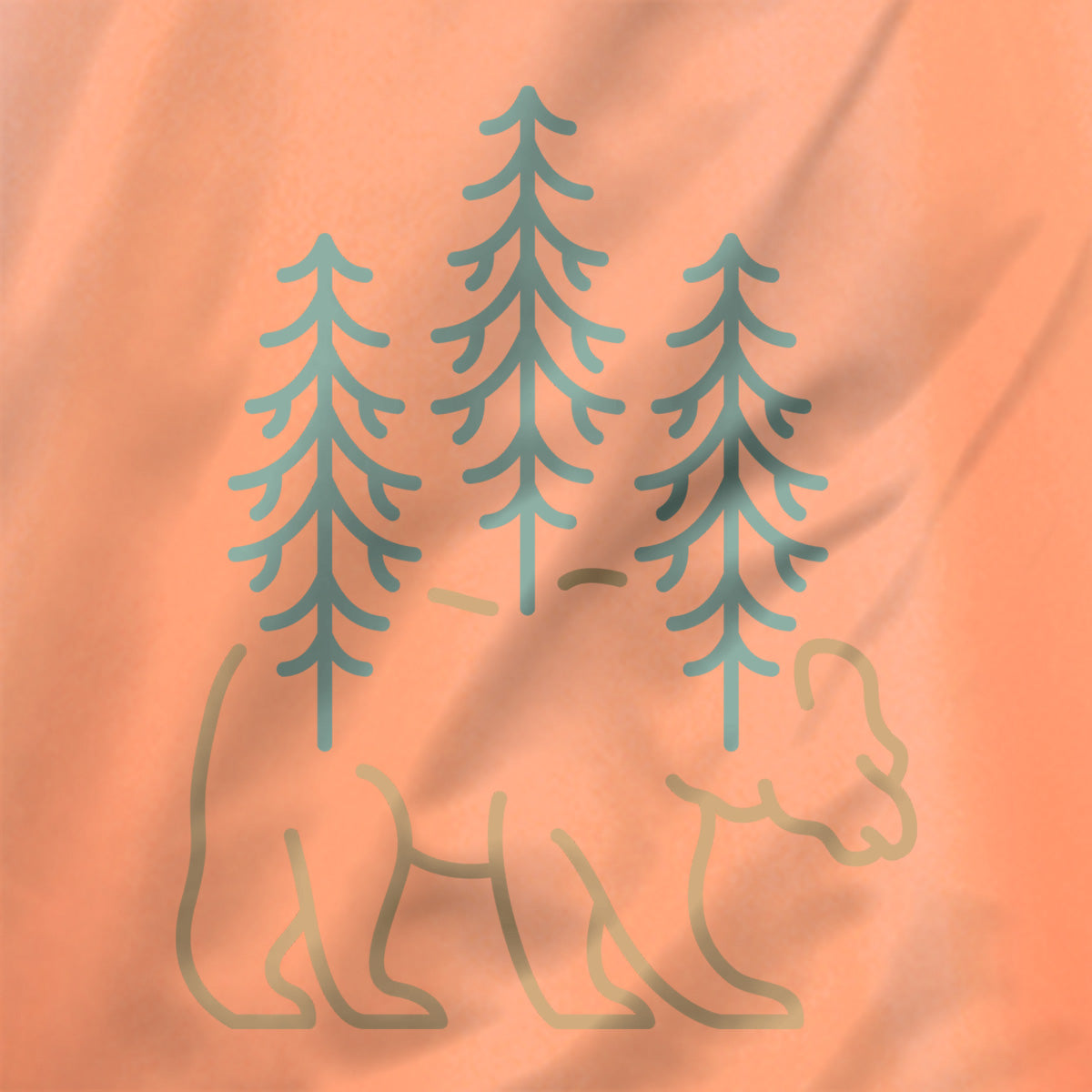 #color_coral