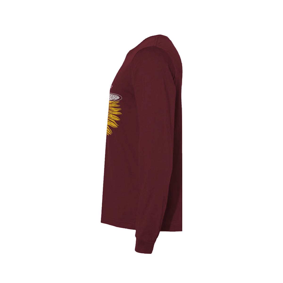 #color_maroon