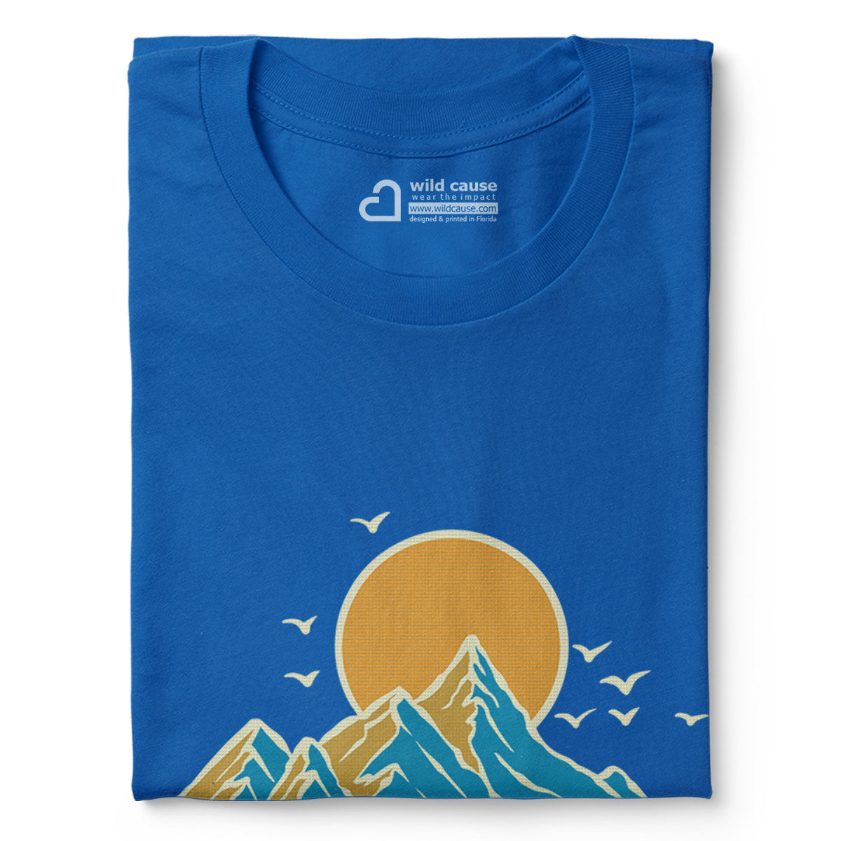 #color_columbia-blue