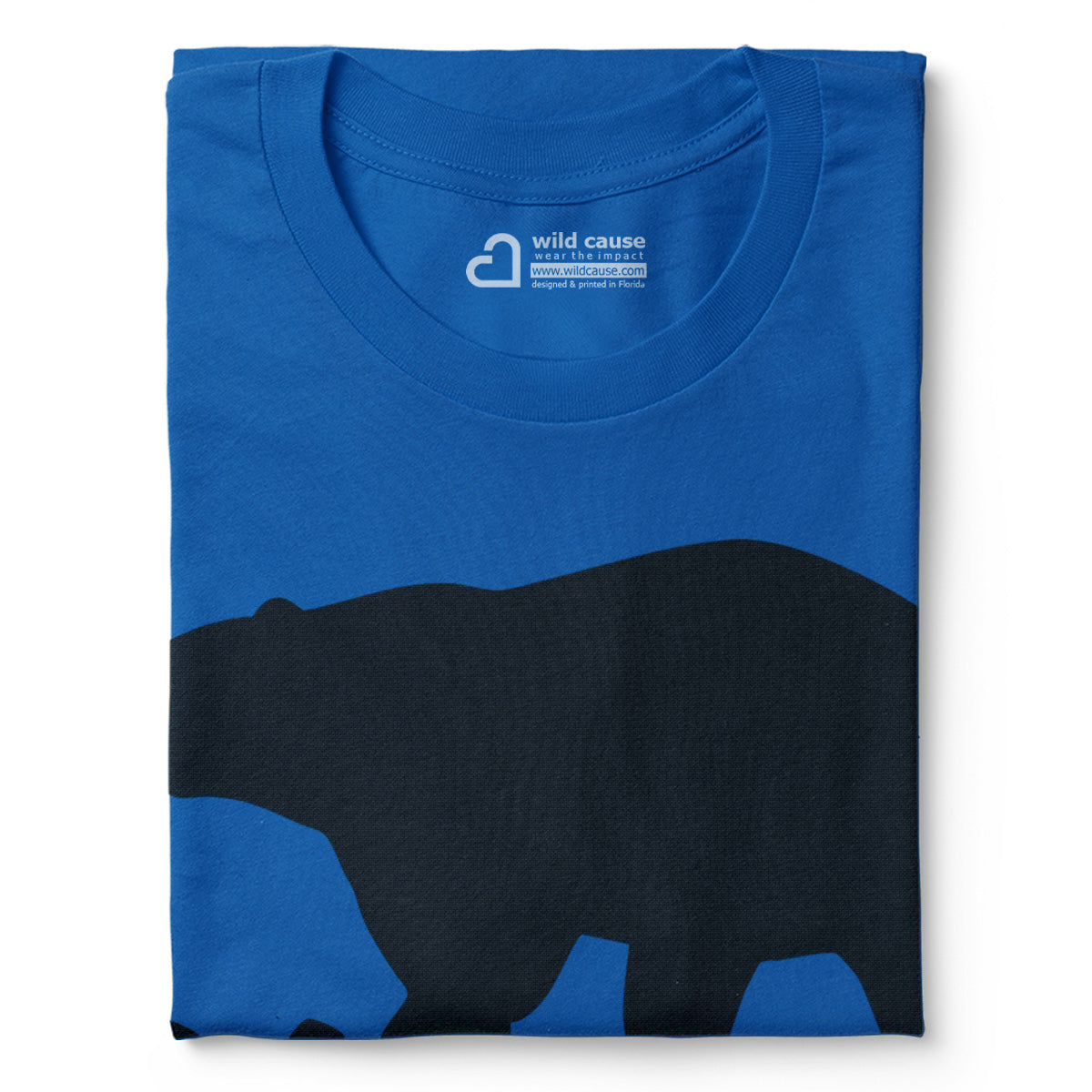 #color_columbia-blue