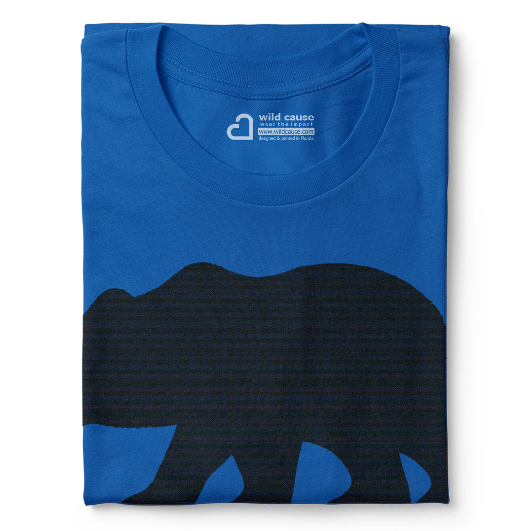 #color_columbia-blue