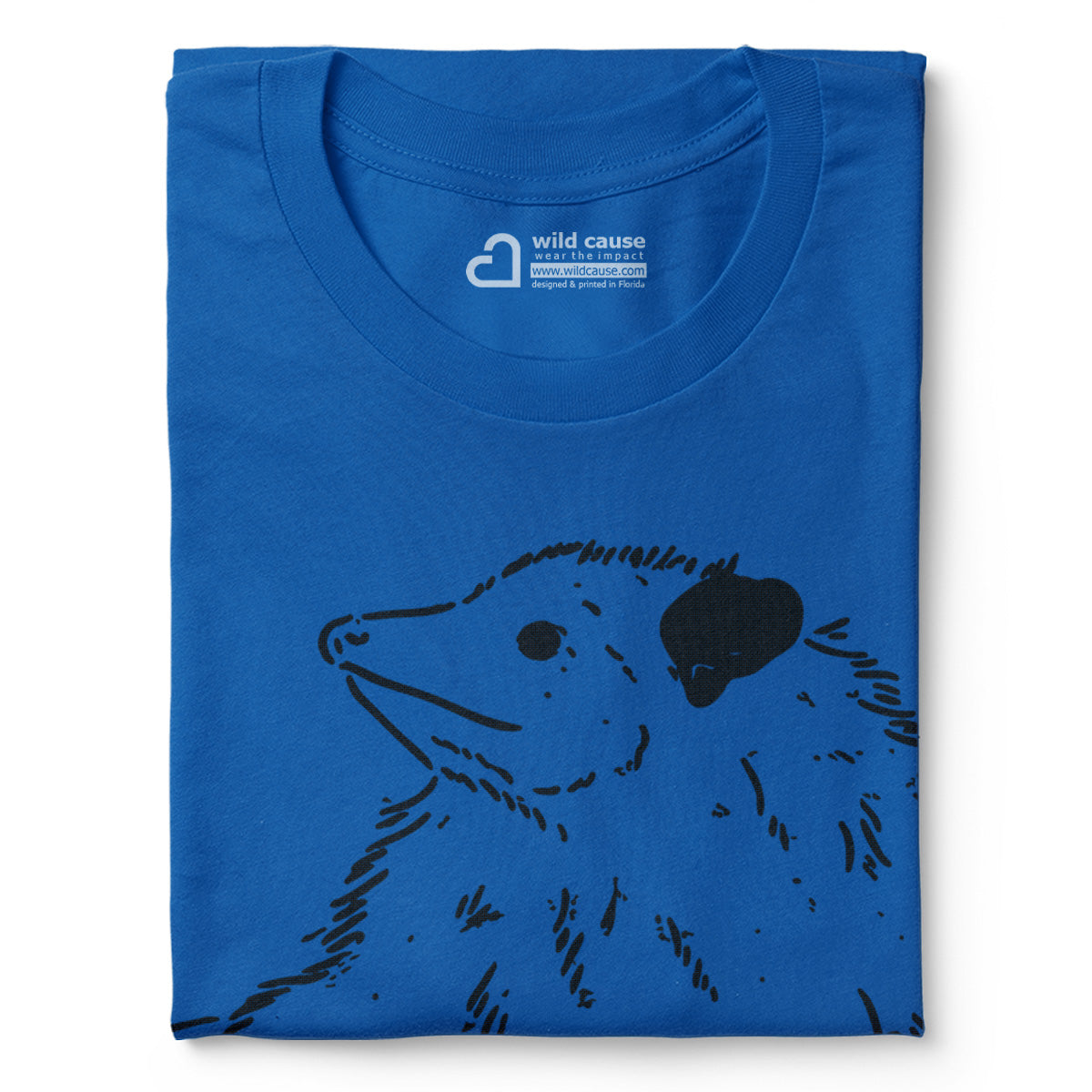 #color_columbia-blue