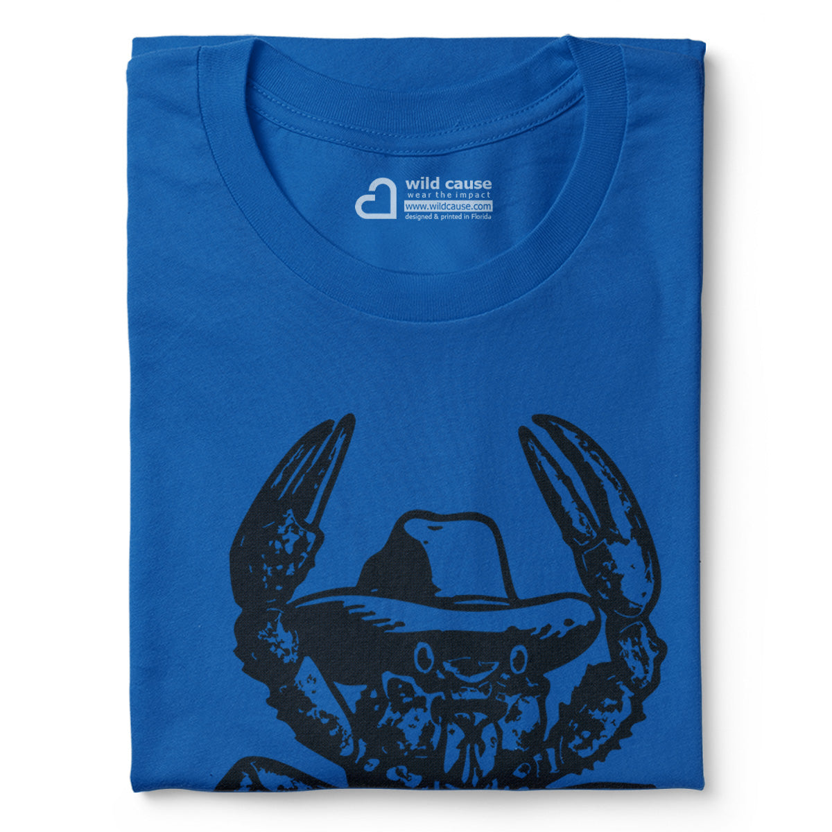 #color_columbia-blue