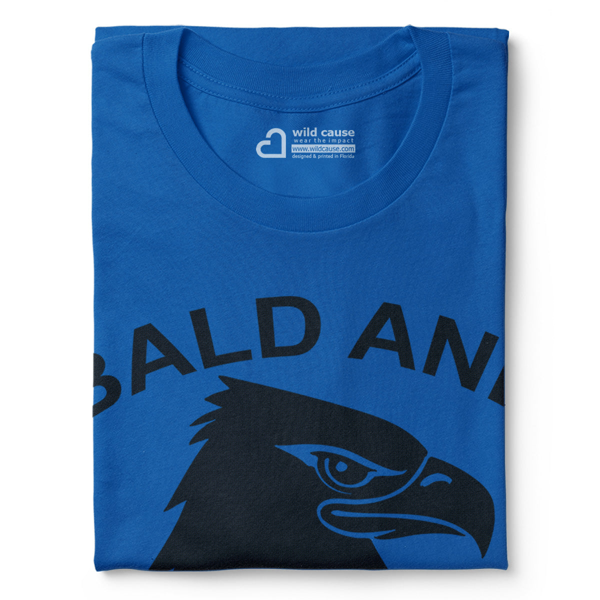 #color_columbia-blue