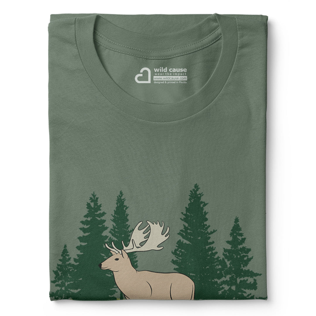 #color_pine