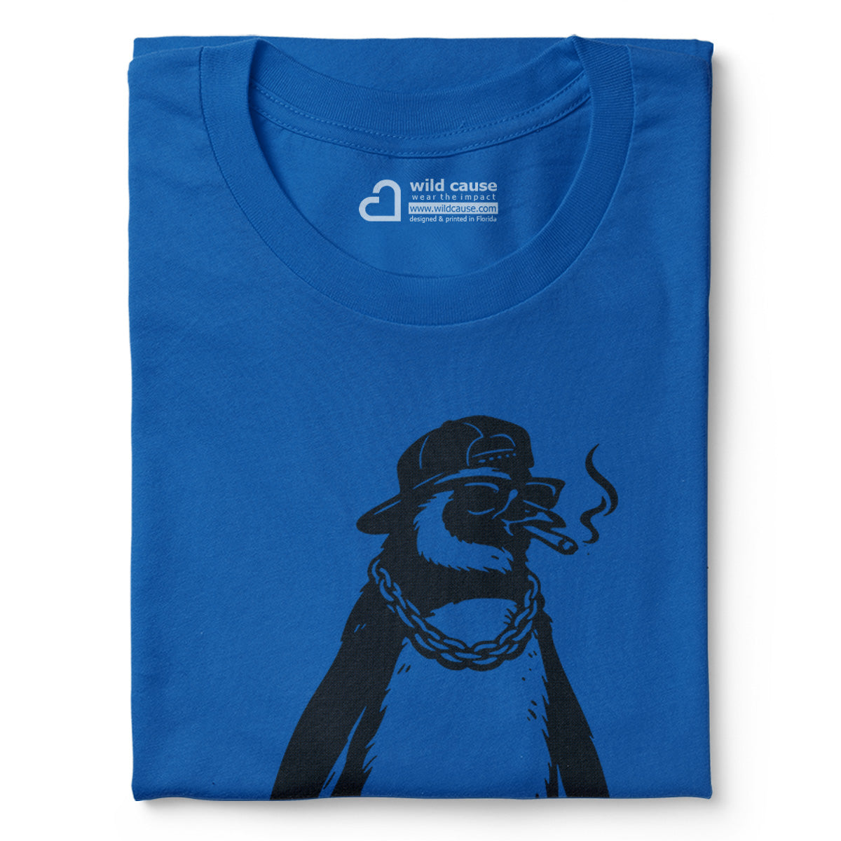 #color_columbia-blue