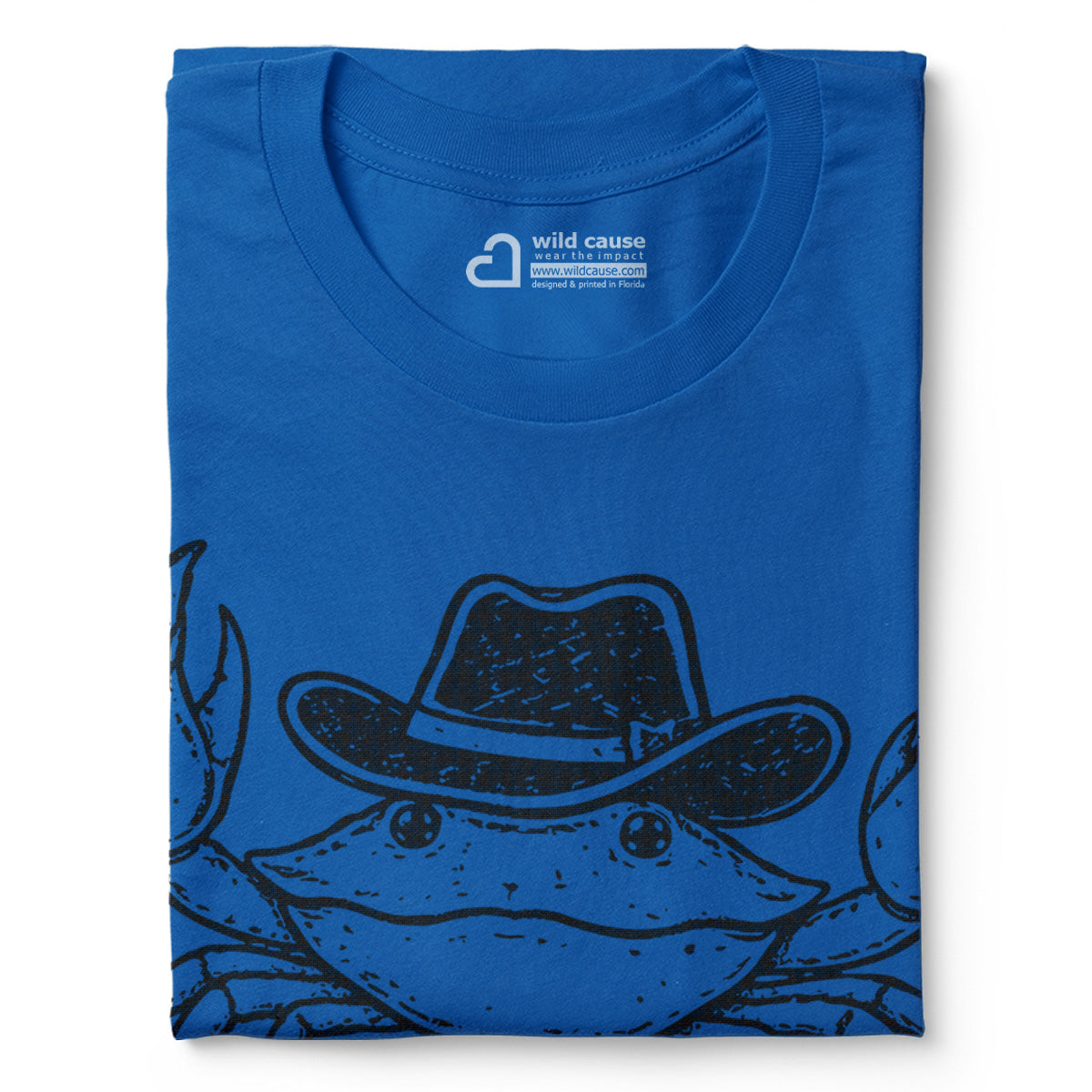 #color_columbia-blue