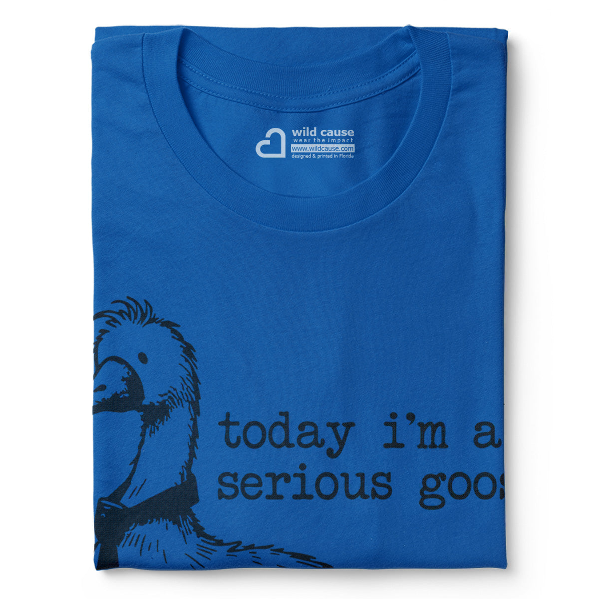 #color_columbia-blue