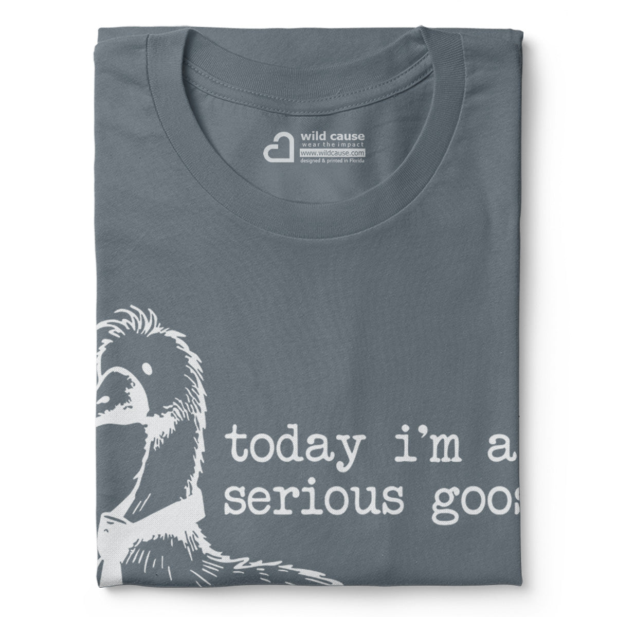 #color_steel-blue