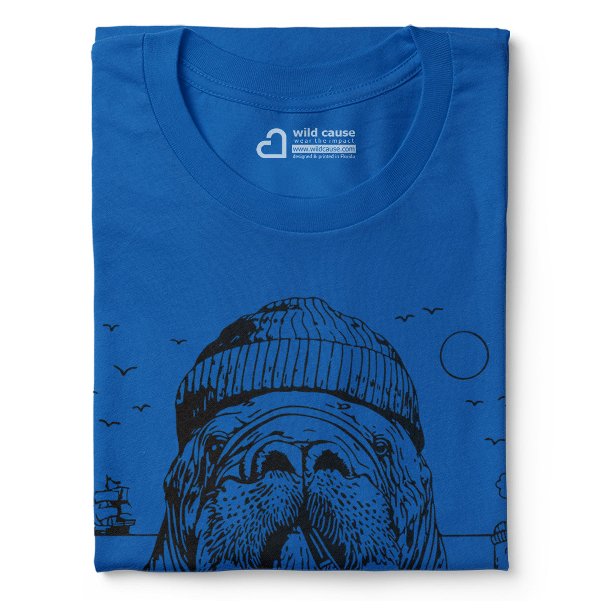 #color_columbia-blue