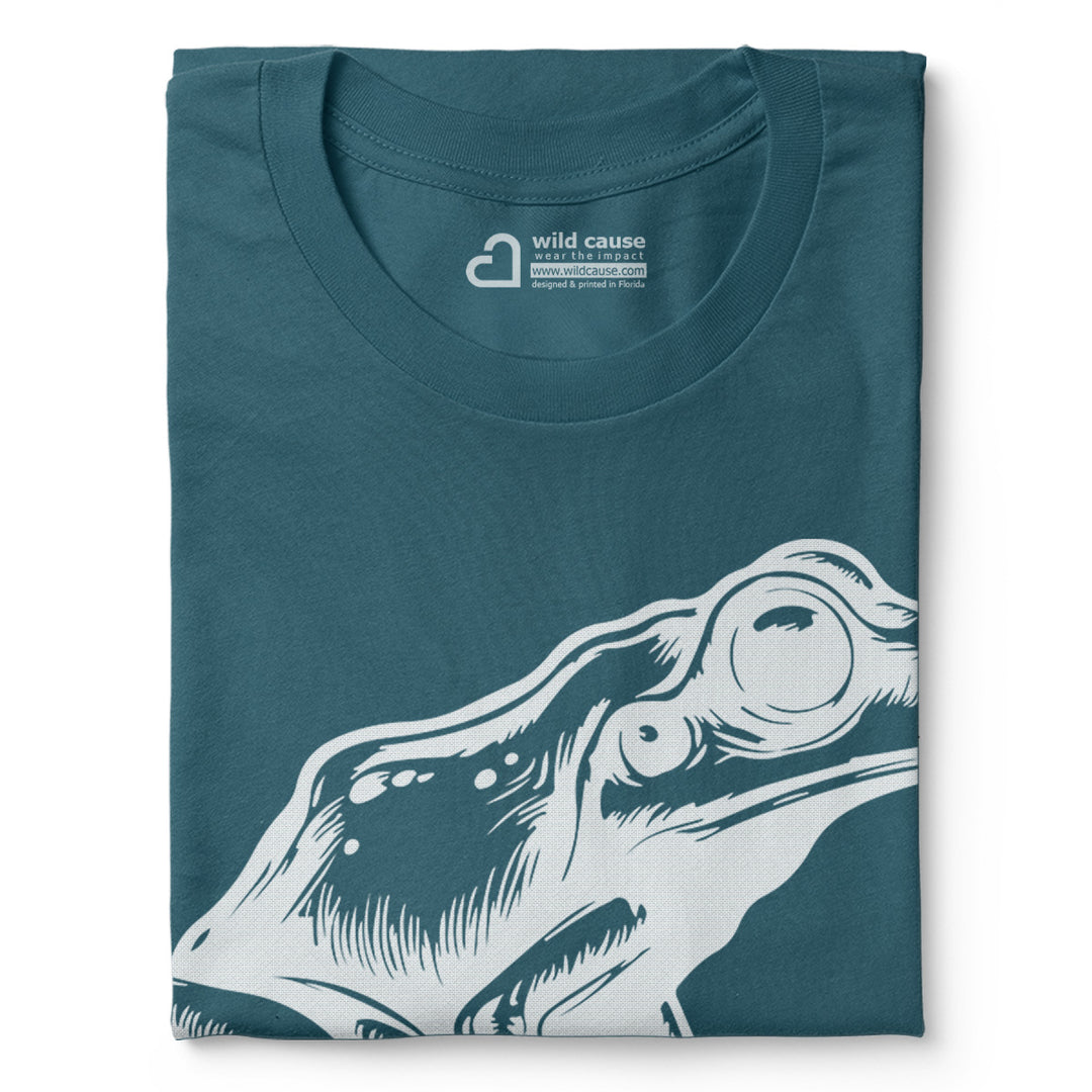 #color_deep-teal