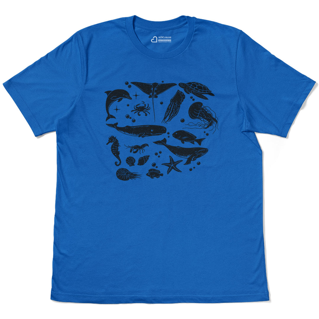 #color_columbia-blue