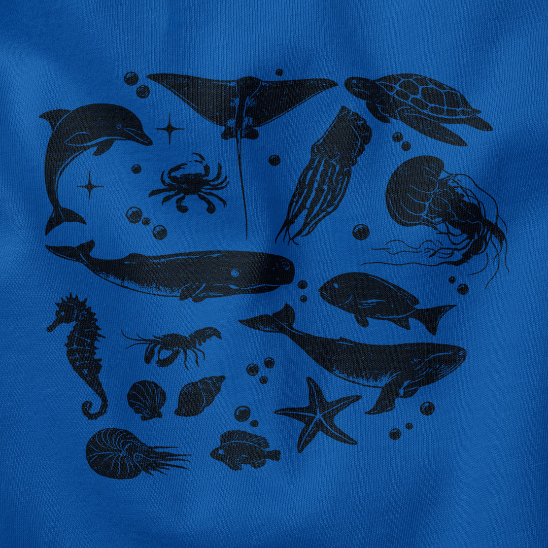 #color_columbia-blue