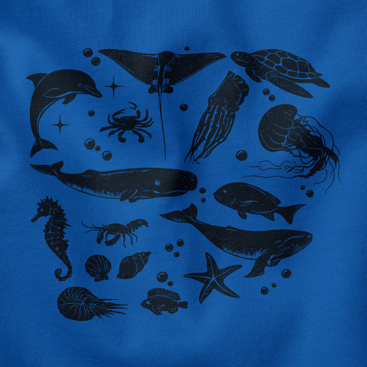#color_columbia-blue