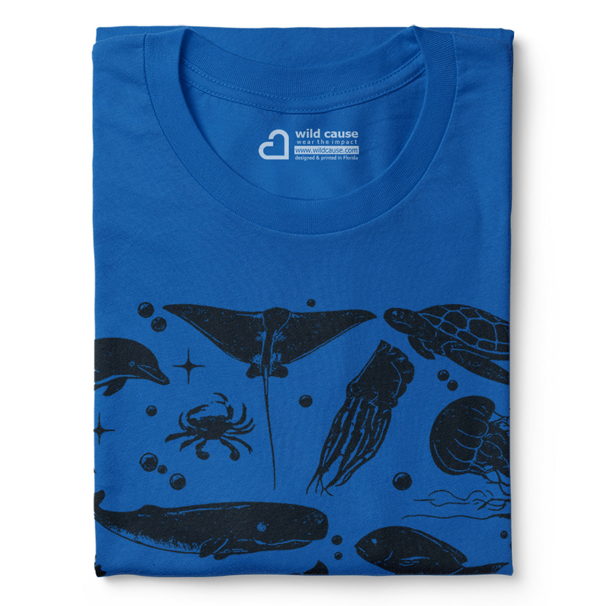 #color_columbia-blue