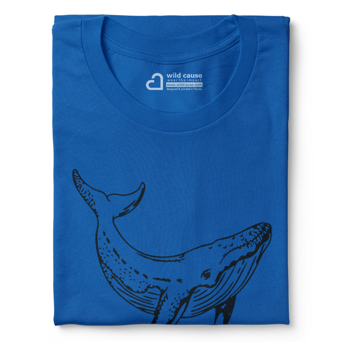 #color_columbia-blue
