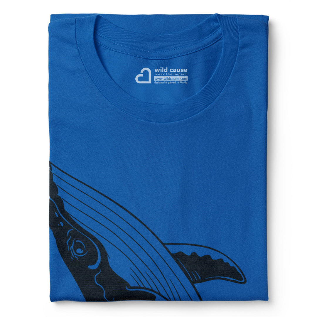 #color_columbia-blue