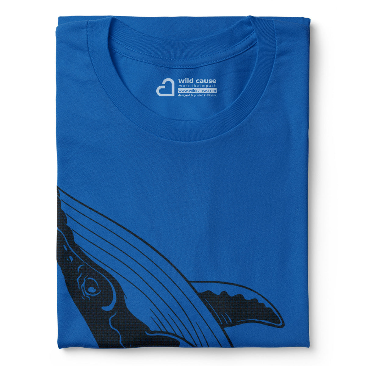 #color_columbia-blue