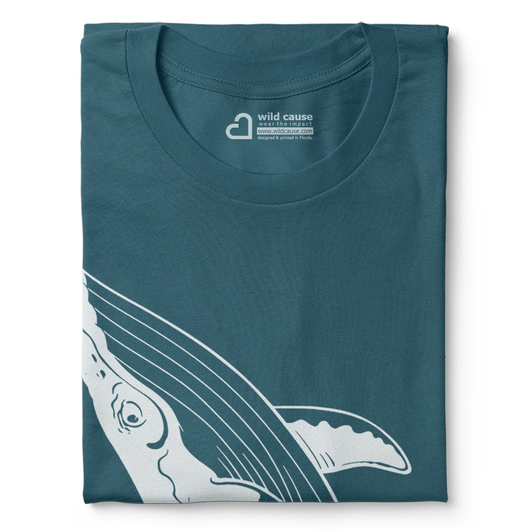 #color_deep-teal