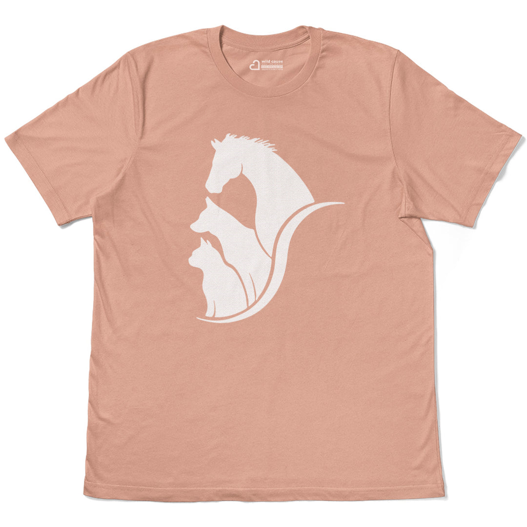 #color_terracotta