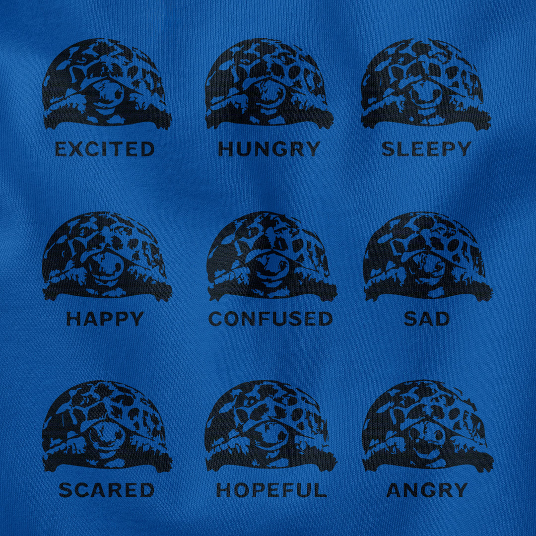 #color_columbia-blue