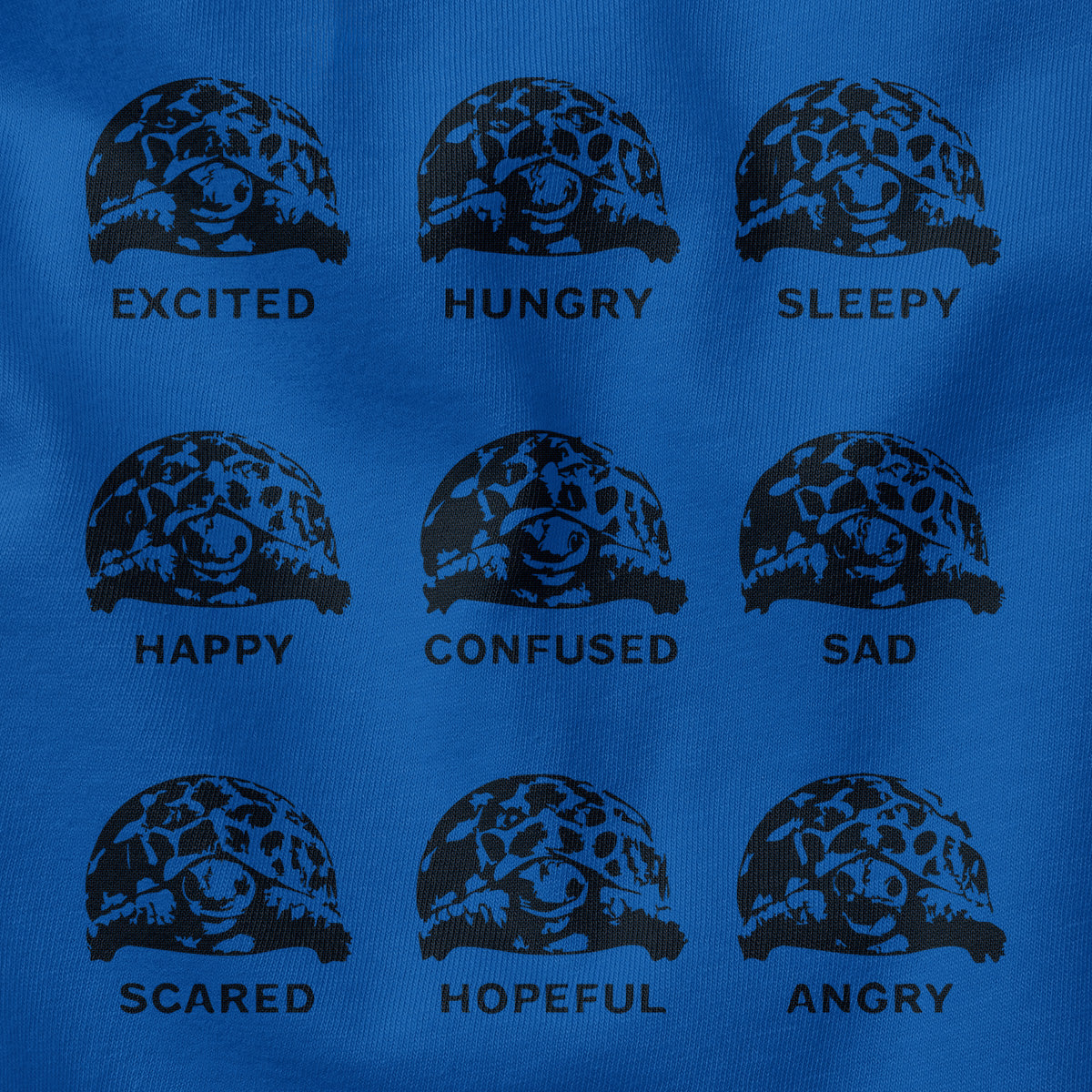 #color_columbia-blue