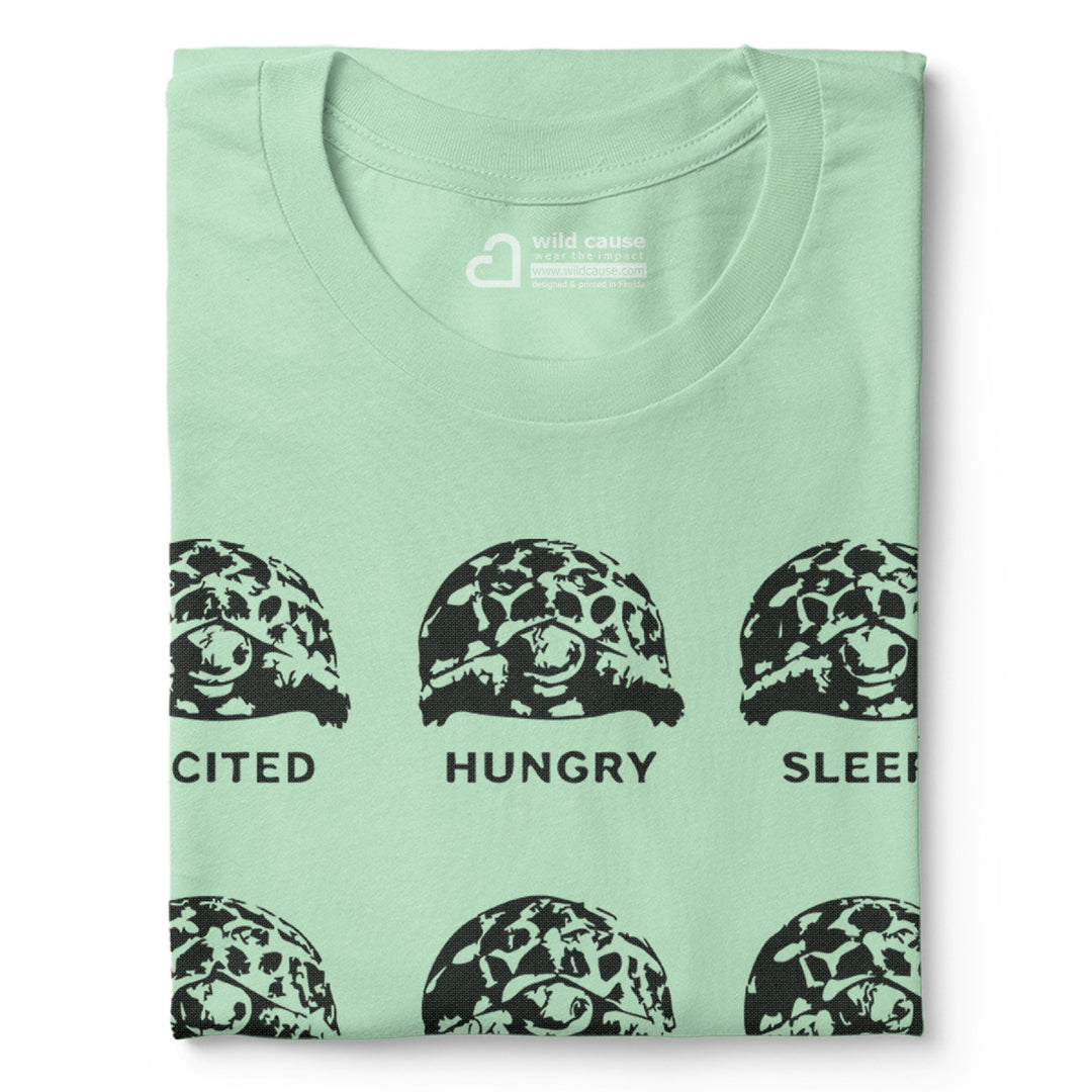 #color_mint