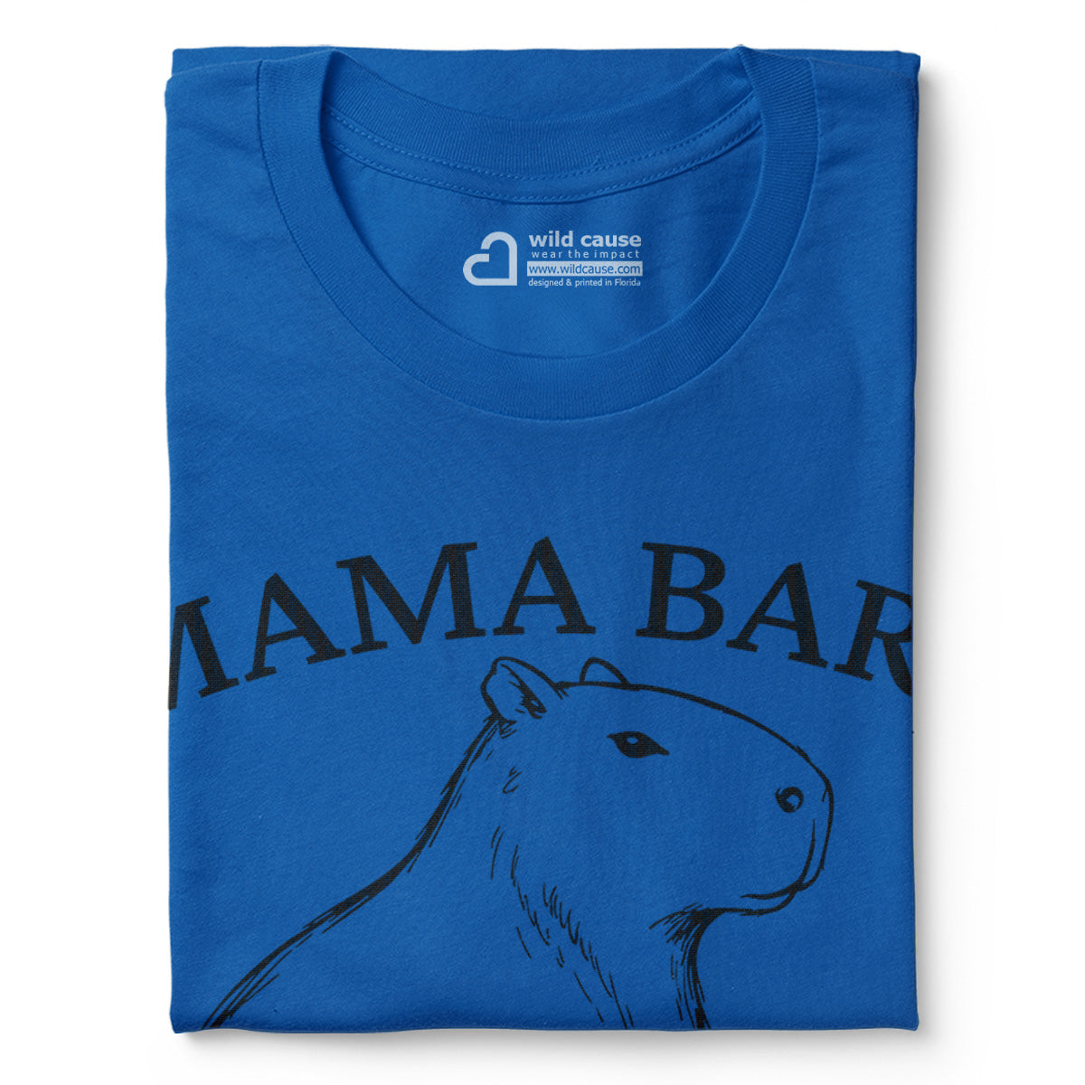 #color_columbia-blue