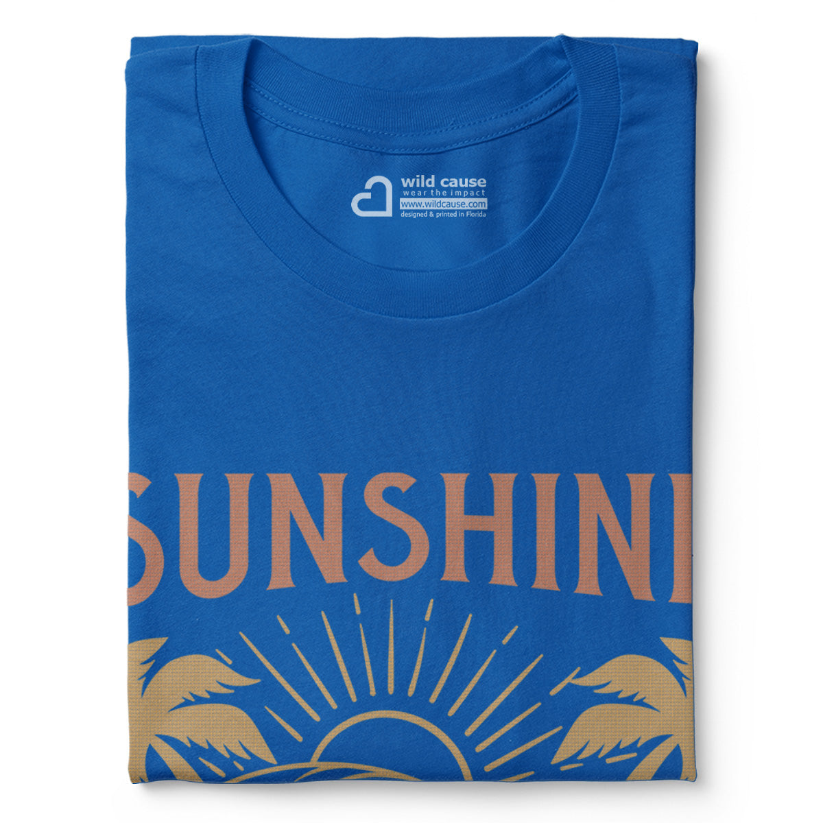 #color_columbia-blue