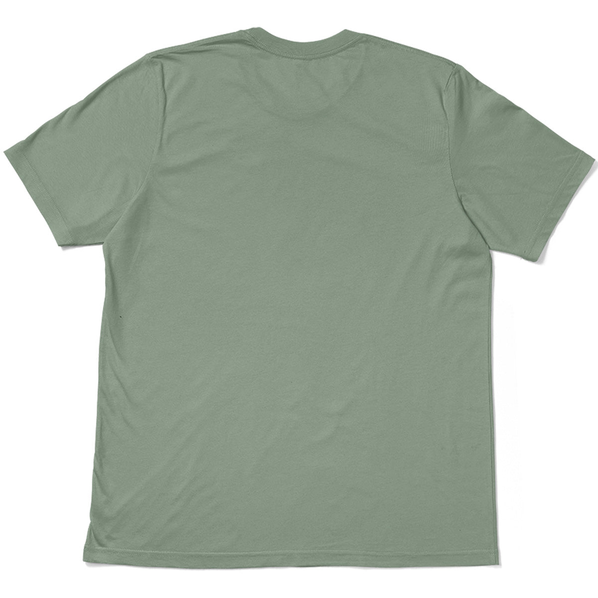 #color_sage-green
