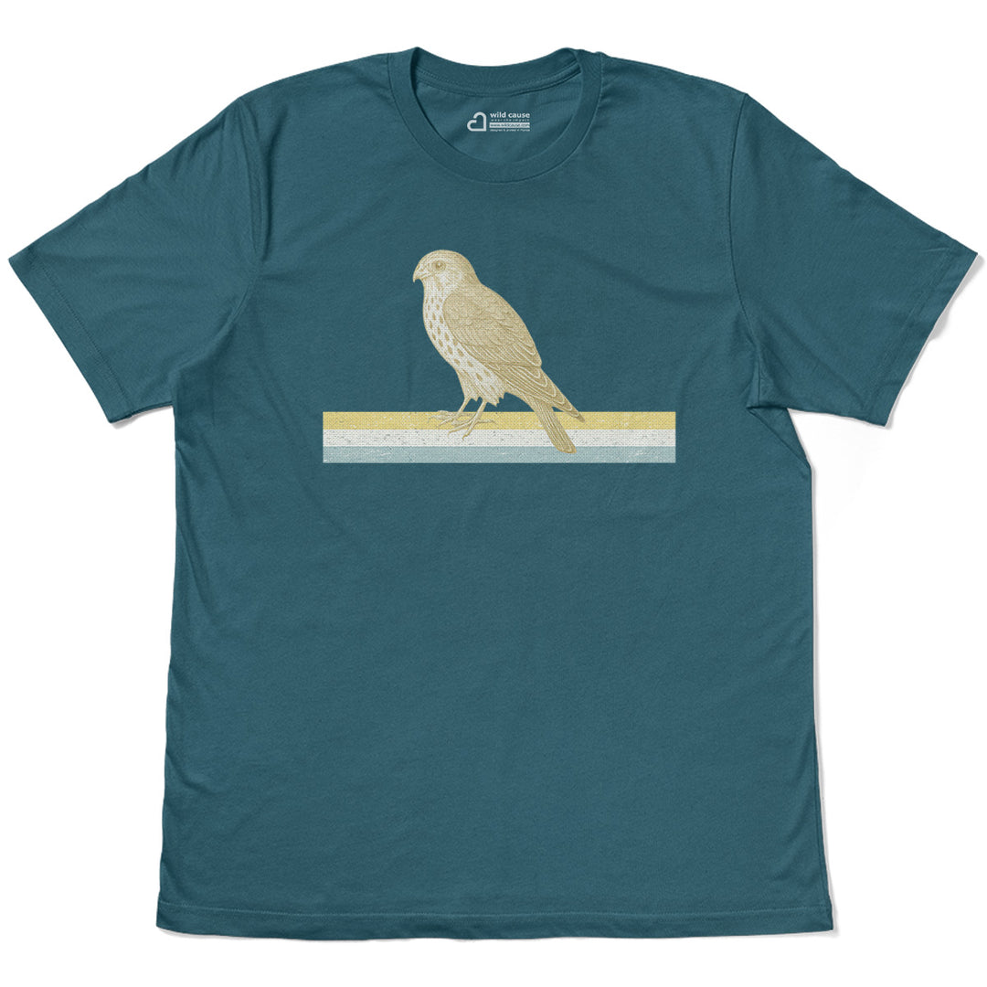 #color_deep-teal