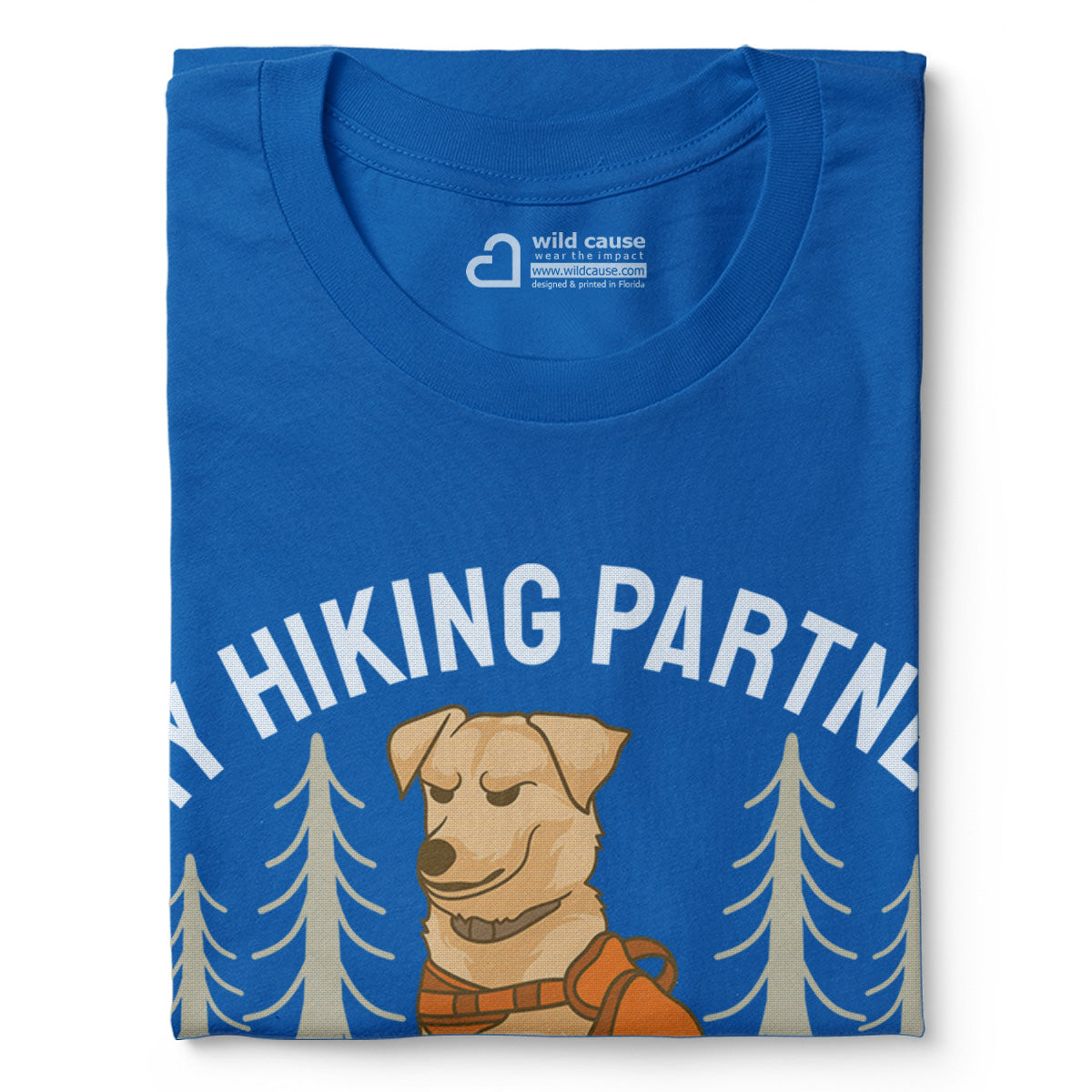 #color_columbia-blue