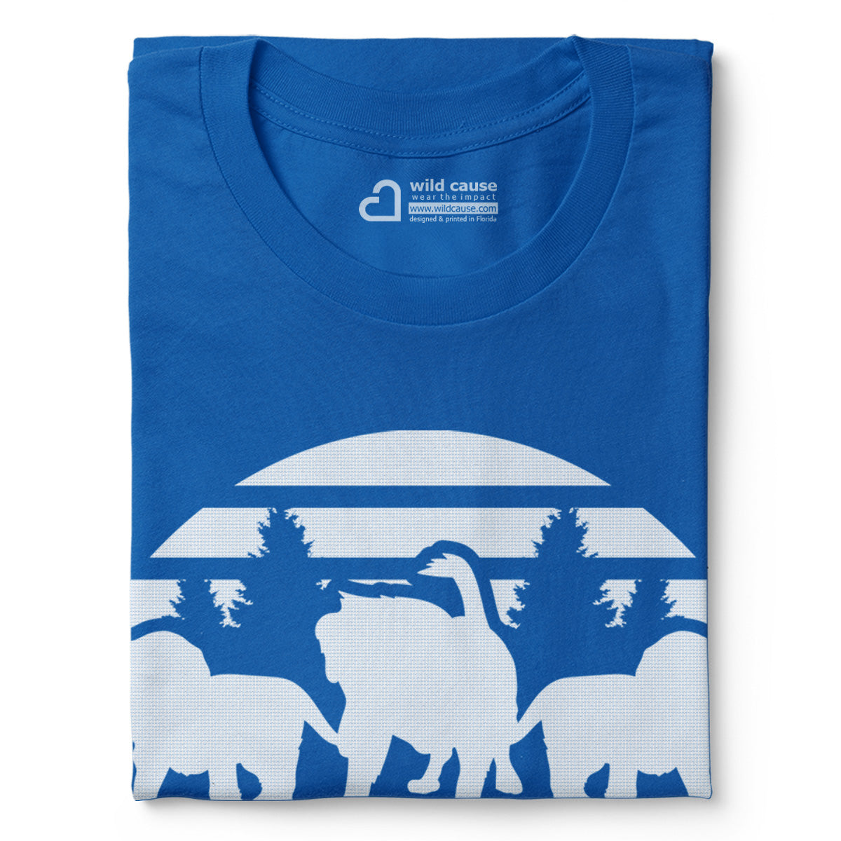 #color_columbia-blue