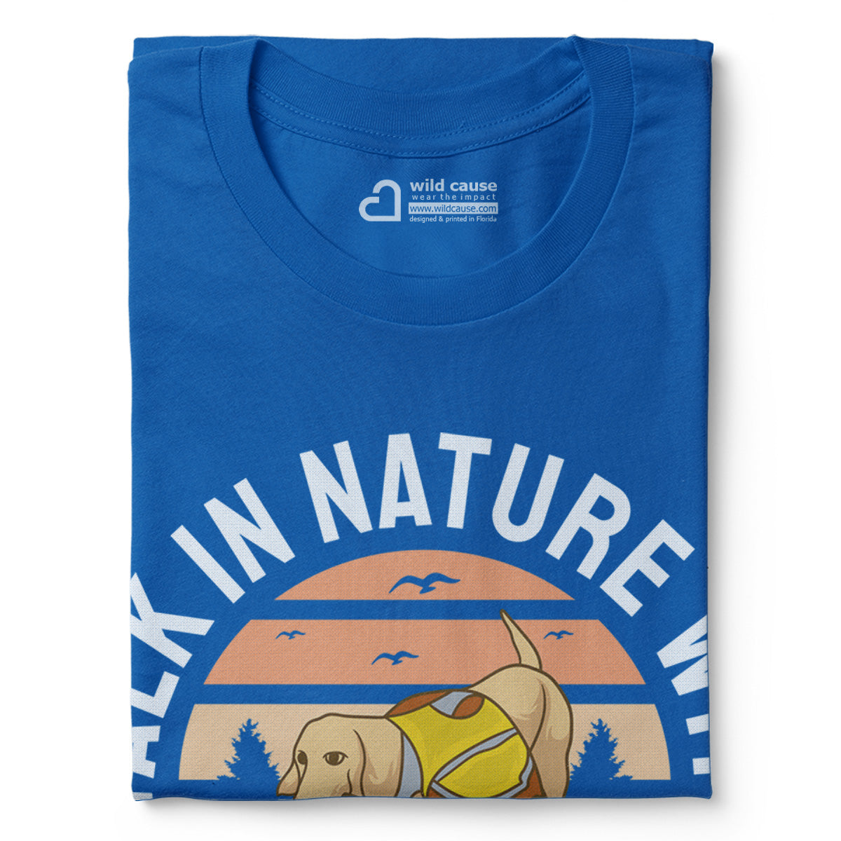 #color_columbia-blue