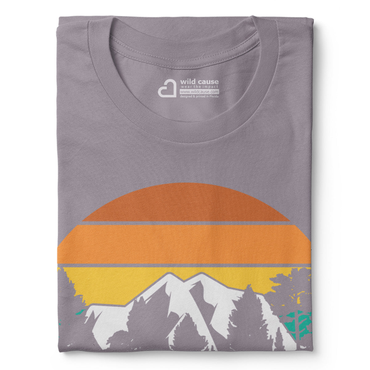 #color_storm
