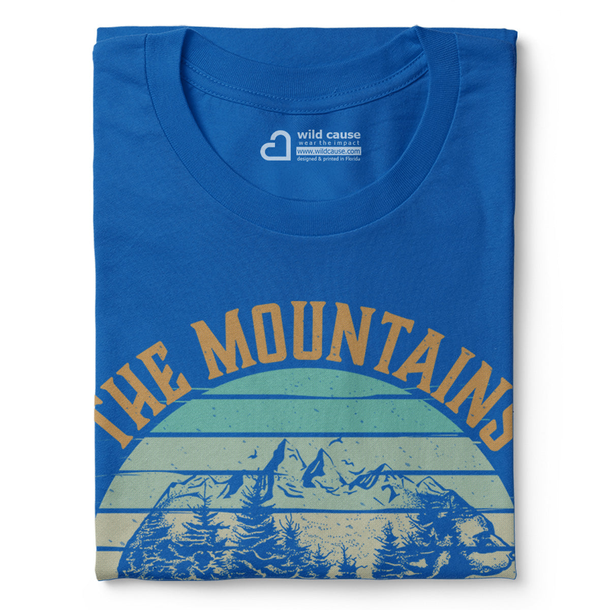 #color_columbia-blue