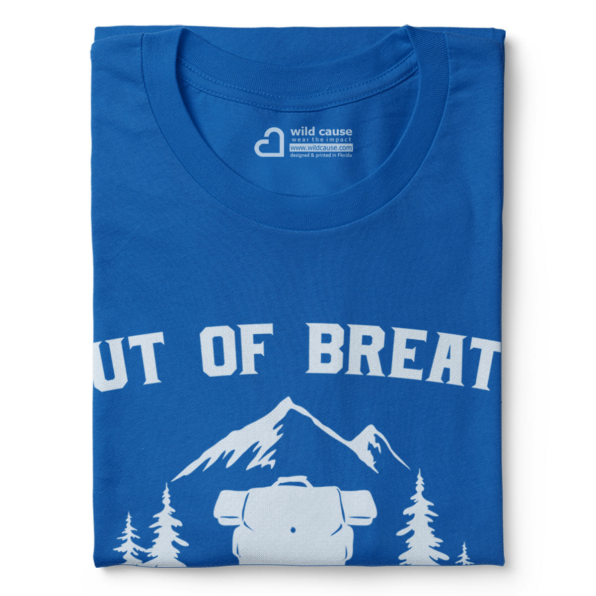 #color_columbia-blue