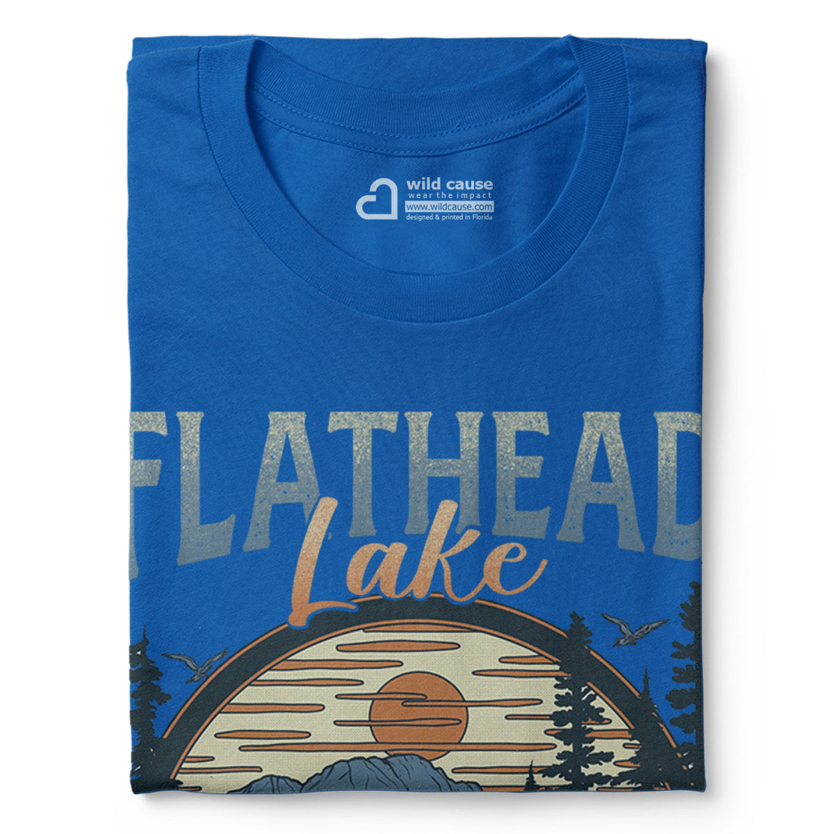 #color_columbia-blue