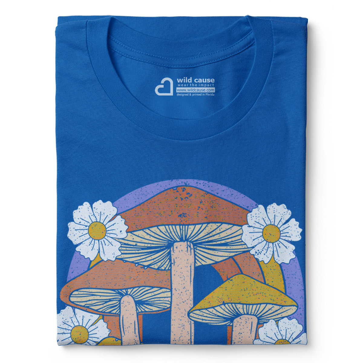 #color_columbia-blue