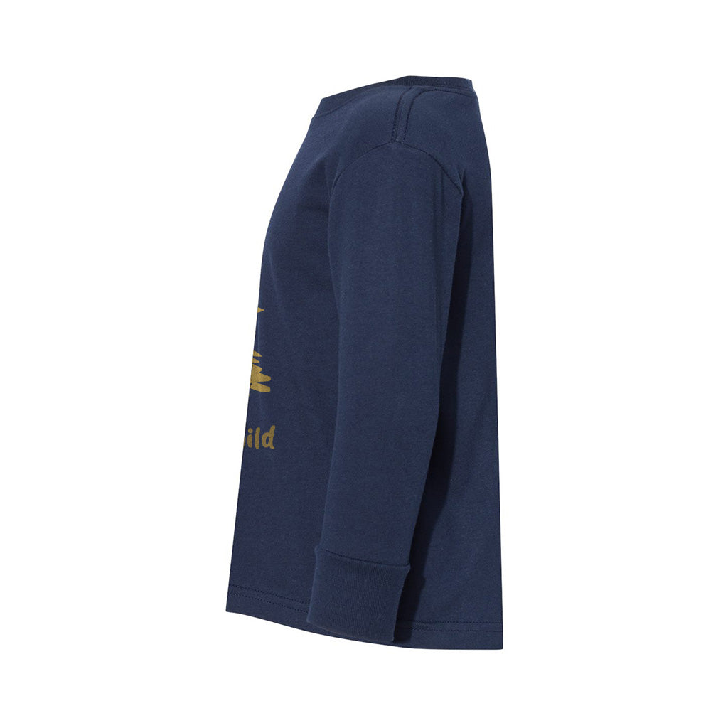 #color_navy