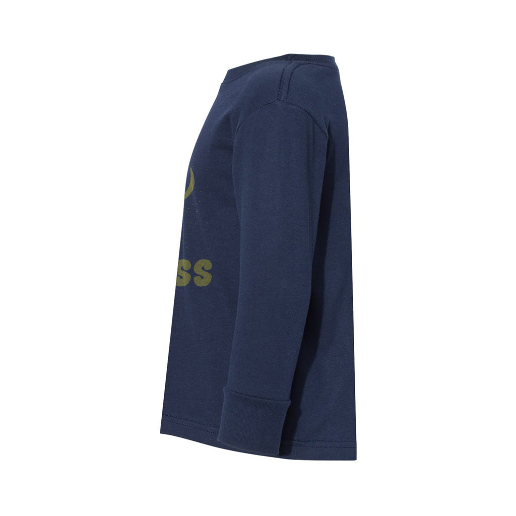 #color_navy