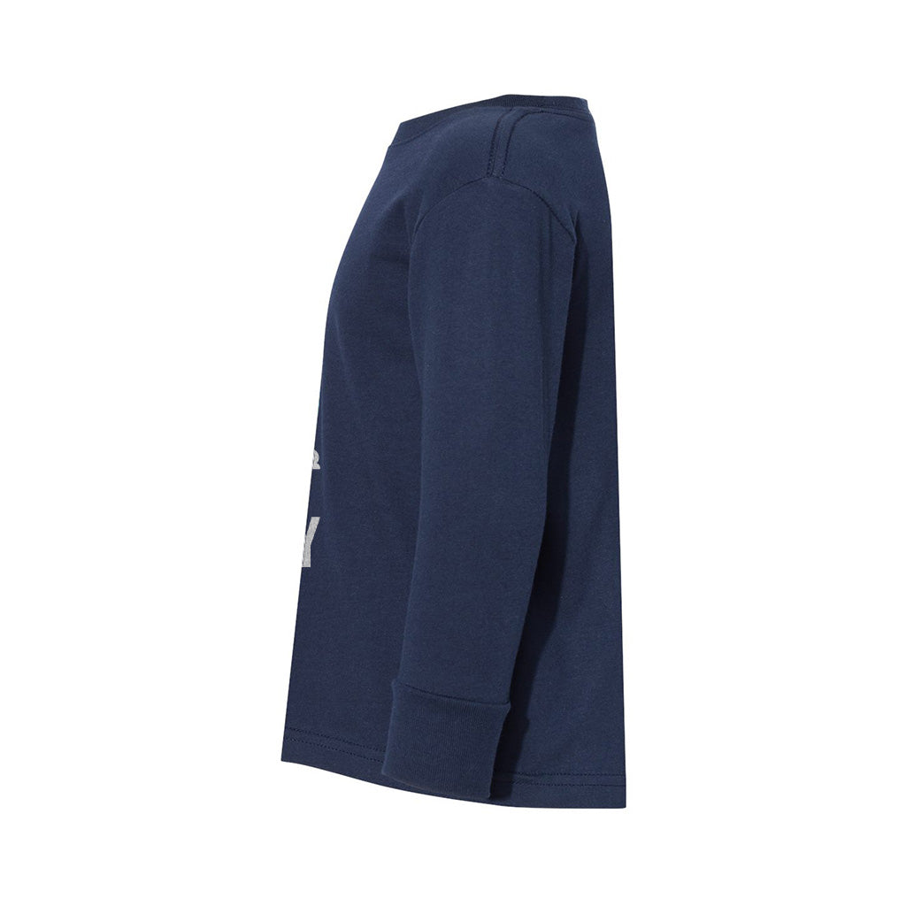 #color_navy