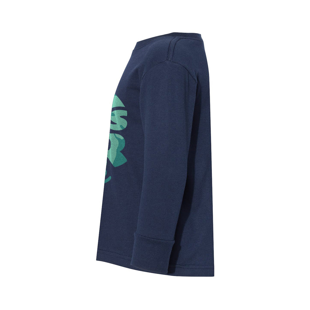 #color_navy